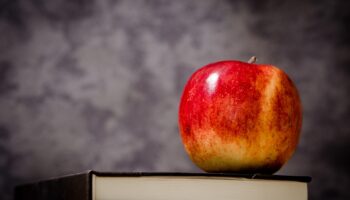 jarmoluk-apple-256262_1920